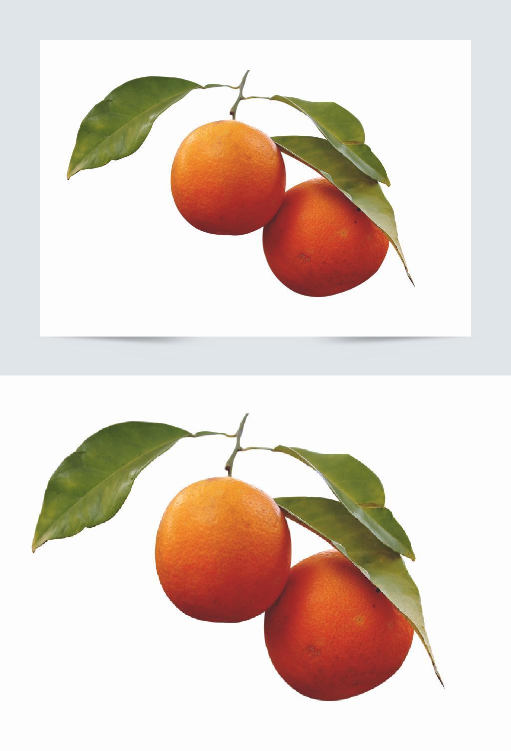 橙色带叶两个橙子